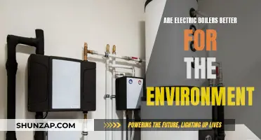 Electric Boilers: Greener Option or Environmental Disaster?