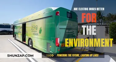 Electric Buses: Greener Option or Environmental Disaster?