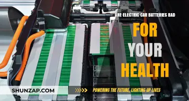 Electric Car Batteries: Uncovering Potential Health Risks and Safety Concerns