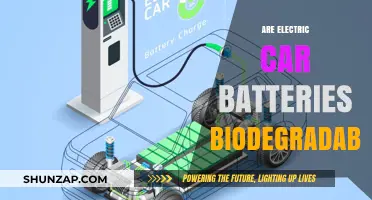 Are Electric Car Batteries Eco-Friendly? Biodegradability Explained