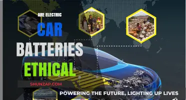 Are Electric Car Batteries Ethically Sourced and Environmentally Responsible?