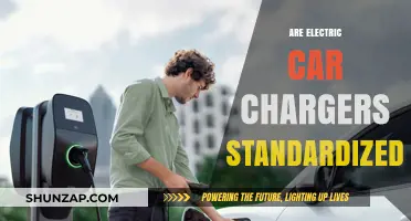 Are Electric Car Chargers Standardized? Exploring Compatibility and Charging Networks