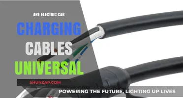 Are Electric Car Charging Cables Universal? Compatibility Explained