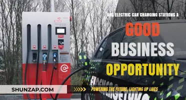 Electric Car Charging Stations: Profitable Business Opportunity or Risky Venture?