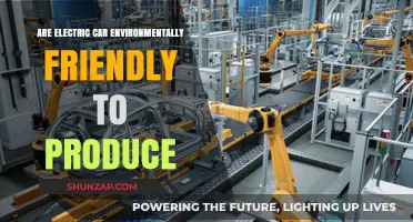Are Electric Cars Truly Eco-Friendly in Their Production Process?