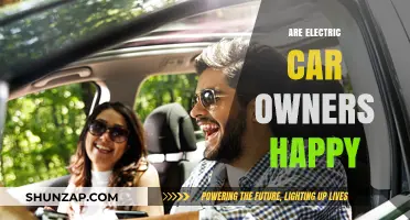 Electric Car Ownership: Are Drivers Truly Satisfied and Happy?