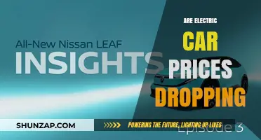 Electric Car Prices: Are They Finally Becoming More Affordable?