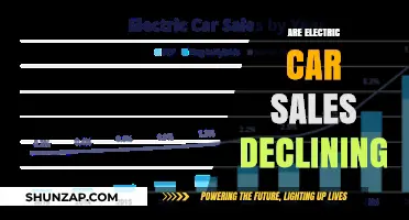 Are Electric Car Sales Declining? Analyzing the Current Market Trends