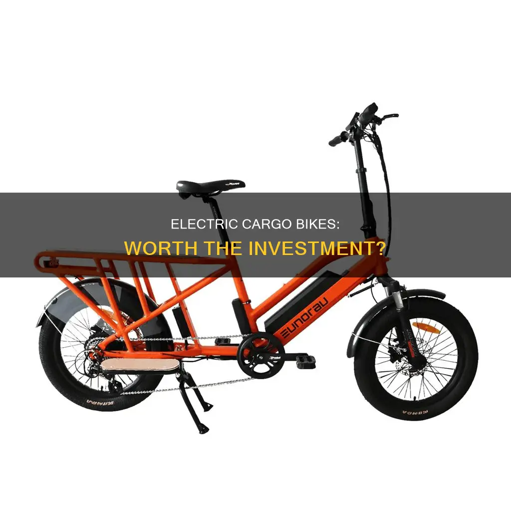 are electric cargo bikes worth the money