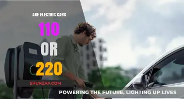Electric Car Charging: Understanding 110V vs. 220V Power Options