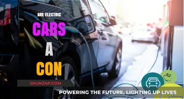 Electric Cars: Sustainable Revolution or Overhyped Greenwashing Scam?