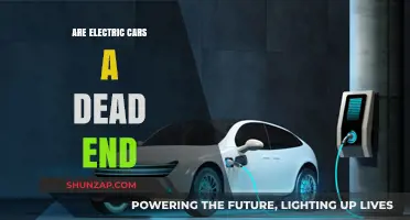 Electric Cars: A Sustainable Future or a Dead-End Investment?