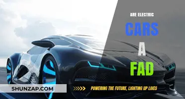 Electric Cars: Sustainable Future or Just a Passing Trend?