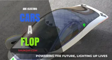 Electric Cars: A Sustainable Success or Overhyped Flop?