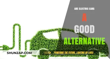 Electric Cars: A Sustainable Alternative to Traditional Gasoline Vehicles?