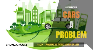 Electric Cars: Environmental Savior or Hidden Problem?