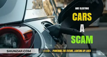 Electric Cars: Scam or Sustainable Future? Unveiling the Truth