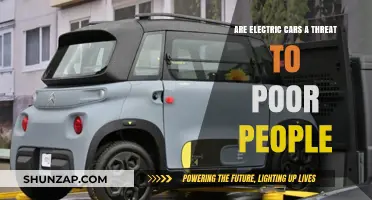 Electric Cars: A Luxury Threatening the Poor's Mobility?