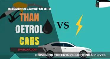 Electric vs. Petrol Cars: Which is Truly Better for the Environment?