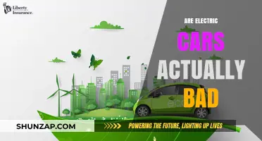 Are Electric Cars Eco-Friendly or Just a Greenwashed Myth?