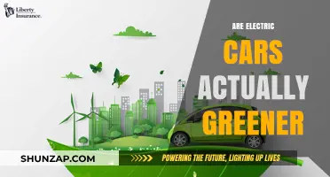 Are Electric Cars Truly Eco-Friendly? Uncovering the Green Reality