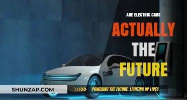 Electric Cars: The Future or Just a Passing Trend?