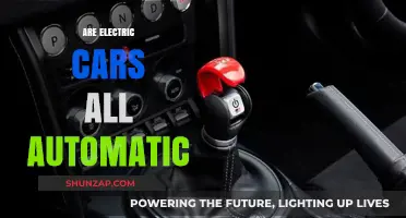 Electric Cars: Are They Always Automatic or Do Manuals Exist?