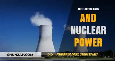 Electric Cars and Nuclear Power: A Sustainable Energy Partnership?