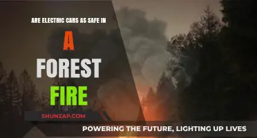 Electric Cars in Forest Fires: Safety Concerns and Realities