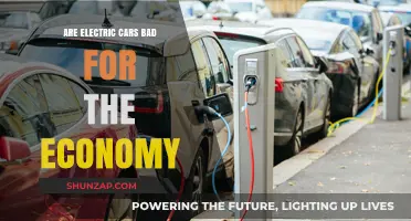 Electric Cars: Economic Boon or Detriment to National Growth?