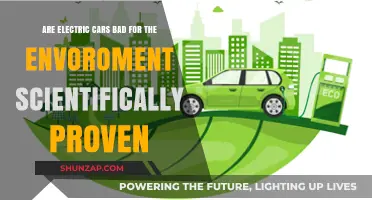 Electric Cars and the Environment: Scientific Evidence Debunks Common Myths