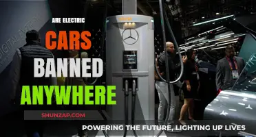 Are Electric Cars Banned? Global Restrictions and Future Outlook Explained