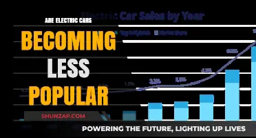 Are Electric Cars Losing Popularity? Trends and Factors Shaping the Market