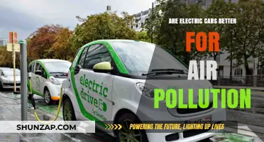 Electric Cars vs. Air Pollution: A Cleaner Future on the Road?