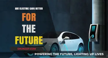 Electric Cars: A Sustainable Future or Just a Passing Trend?