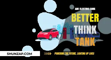 Electric Cars vs. Gasoline: Think Tank Analysis on Sustainability and Efficiency