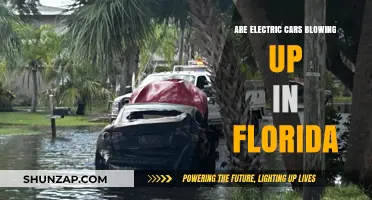 Are Electric Cars in Florida Facing a Rising Fire Risk?