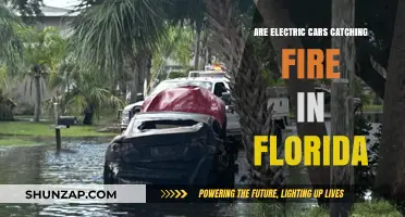 Florida's Electric Car Fires: Rising Concern or Rare Incidents?