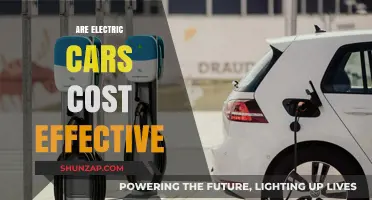 Electric Cars: Cost-Effective Choice or Expensive Trend?