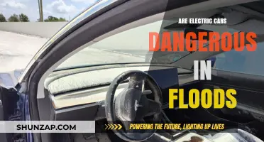 Electric Cars in Floods: Safety Risks and Precautions Explained