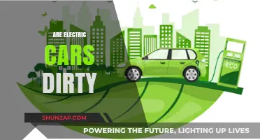 Are Electric Cars Truly Clean? Uncovering the Environmental Impact