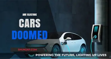 Are Electric Cars Doomed? Challenges and Future Prospects Explored