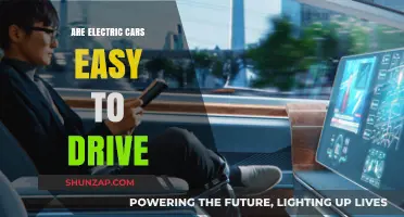 Electric Cars: Simplifying Driving or Adding Complexity?