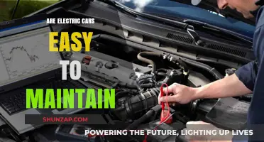 Electric Cars Maintenance: Simplifying Ownership or Hidden Hassles?