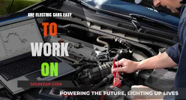Electric Cars: Are They Easier to Maintain Than Traditional Vehicles?