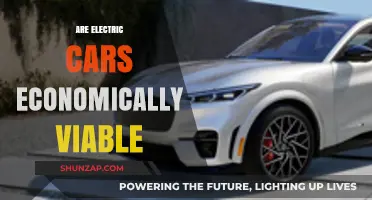 Electric Cars: Economic Viability and Long-Term Cost Analysis