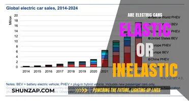 Electric Cars: Elastic or Inelastic Demand Explained