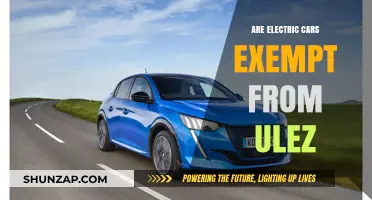 Are Electric Cars Exempt from ULEZ? What Drivers Need to Know