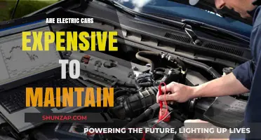 Electric Car Maintenance Costs: Are They Really Budget-Friendly?