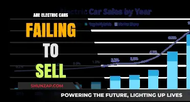 Electric Cars: Why Are Sales Stalling Despite the Hype?